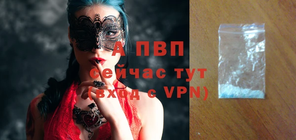 ПСИЛОЦИБИНОВЫЕ ГРИБЫ Дмитров