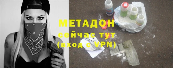 ПСИЛОЦИБИНОВЫЕ ГРИБЫ Дмитриев