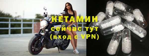 ПСИЛОЦИБИНОВЫЕ ГРИБЫ Дмитриев
