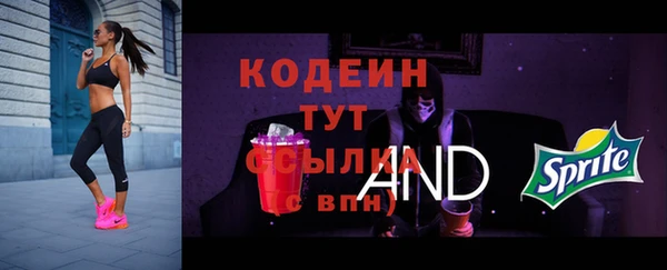 ПСИЛОЦИБИНОВЫЕ ГРИБЫ Дмитров