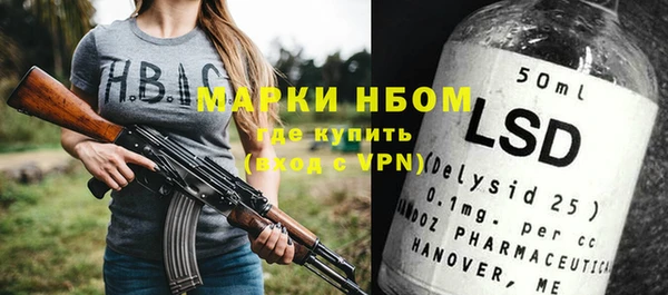 ПСИЛОЦИБИНОВЫЕ ГРИБЫ Дмитриев