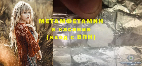 ПСИЛОЦИБИНОВЫЕ ГРИБЫ Дмитриев