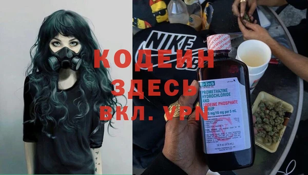 ПСИЛОЦИБИНОВЫЕ ГРИБЫ Дмитров