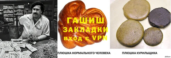 ПСИЛОЦИБИНОВЫЕ ГРИБЫ Дмитриев
