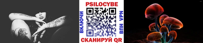 Галлюциногенные грибы MAGIC MUSHROOMS  Купить где  Славгород 