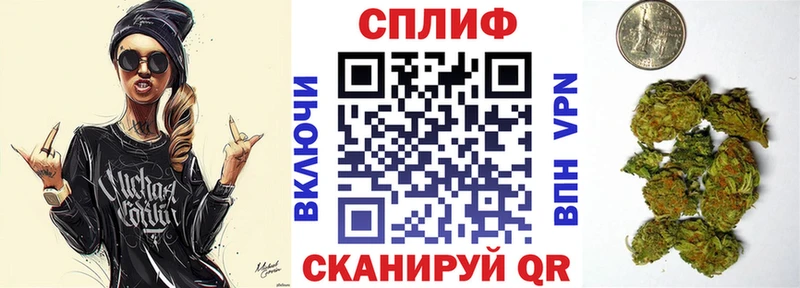 Купить  Славгород  Канабис THC 21% 