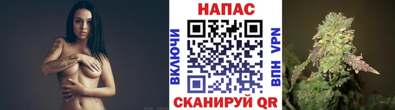 Конопля OG Kush Славгород
